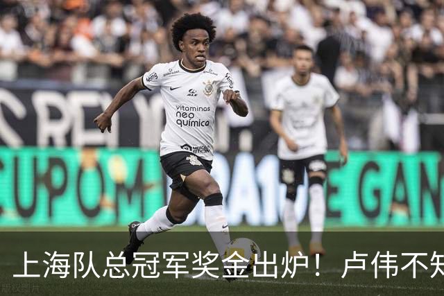 上海队总冠军奖金出炉！卢伟不知道怎么分，张镇麟和王哲林谁多